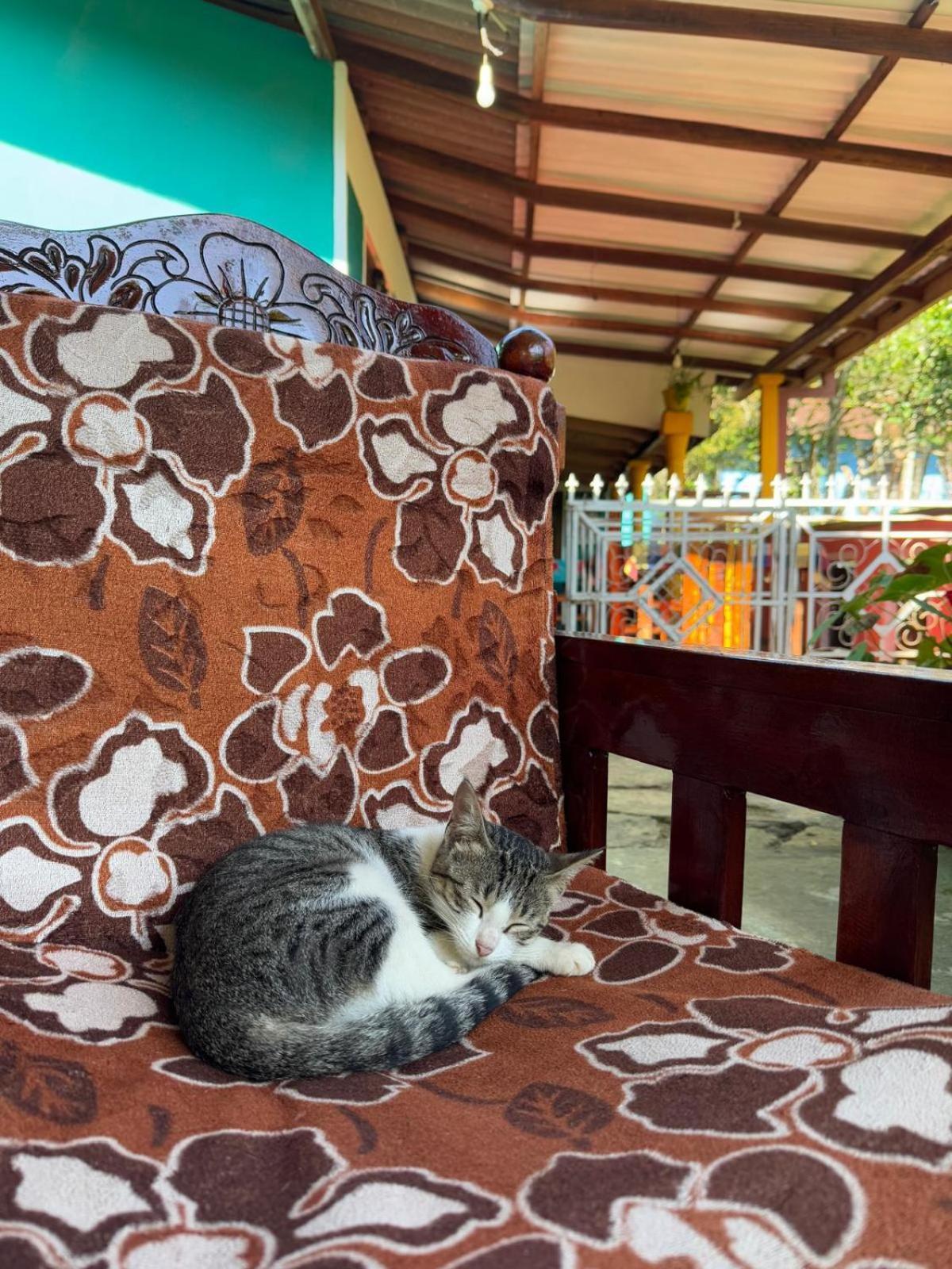 Nature's Rest Lodge Ella